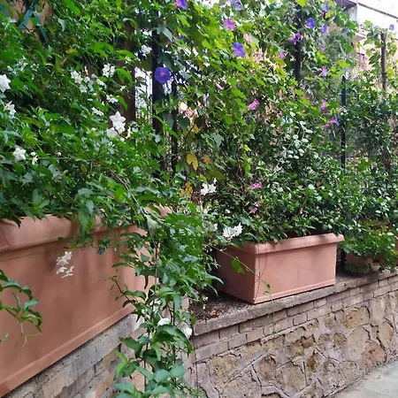 招待所 Angolo Sul Giardino